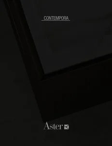 Aster Cucine_Contempora