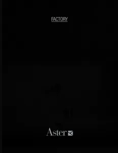 Aster Cucine_Factory