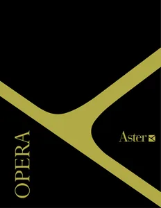 Aster Cucine_Opera