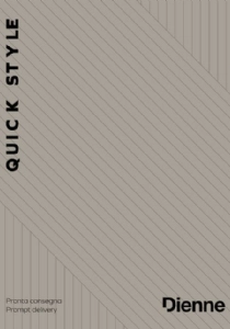 Catalogo diennesalottipromozionalequickstyle