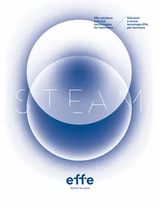Effe_Steam 2024