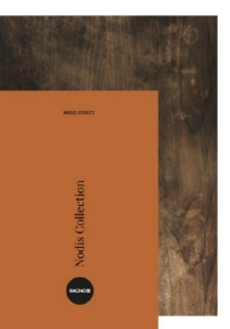 Catalogo ragnonodis3132