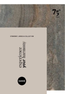 Catalogo ragnostonewayardesiacat2024