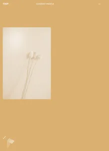 Tooy_company-profile